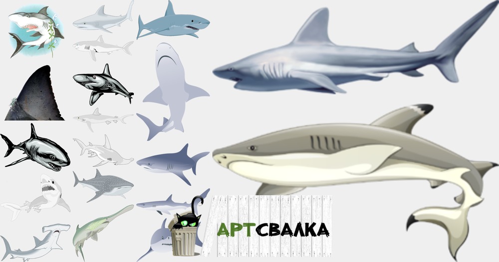Акулы на прозрачном фоне | Sharks on a transparent background